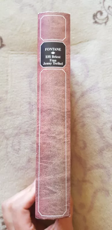 Effi Briest. Frau Jenny Treibel - Theodor Fontane, knyga 3