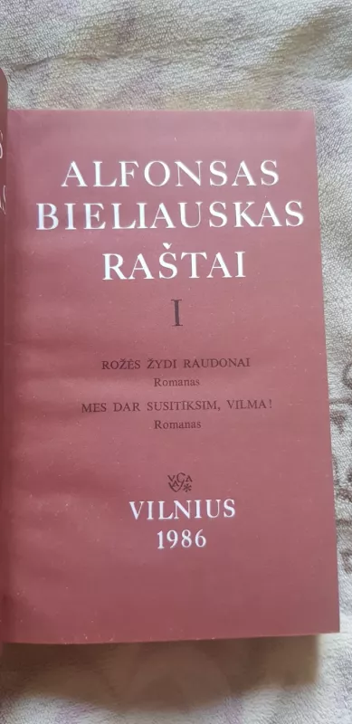 Raštai (2 tomai) - Alfonsas Bieliauskas, knyga 4