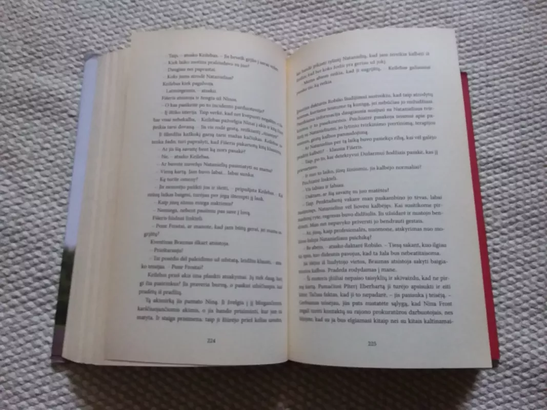 Lemtingas sutapimas - Jodi Picoult, knyga 4