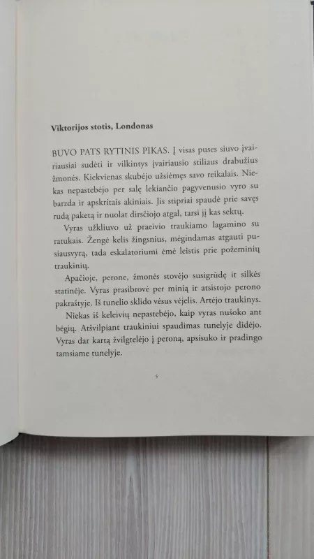 Viljamas Ventonas Luridijaus vagis, 1 knyga - Bobbie Peers, knyga 4