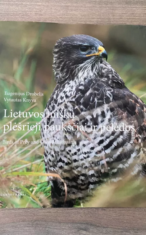 Lietuvos miškų plėšrieji paukščiai ir pelėdos - E. Drobelis, V.  Knyva, knyga