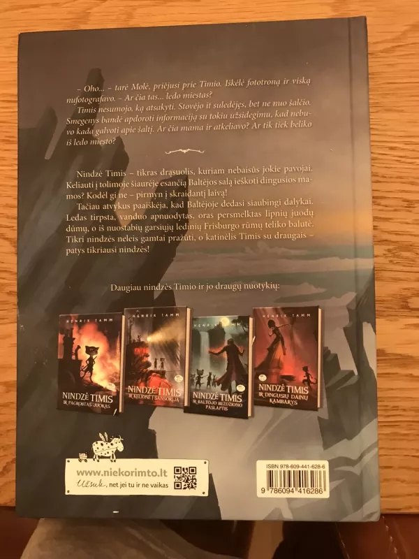 Nindzė Timis ir Ledo miestas - Henrik Tamm, knyga 3