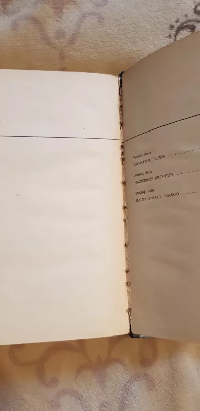 Kai jūra atslūgsta - Armanas Lanu, knyga 4