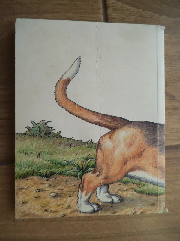 Išsirink draugą - Zenonas Butkevičius, knyga 4