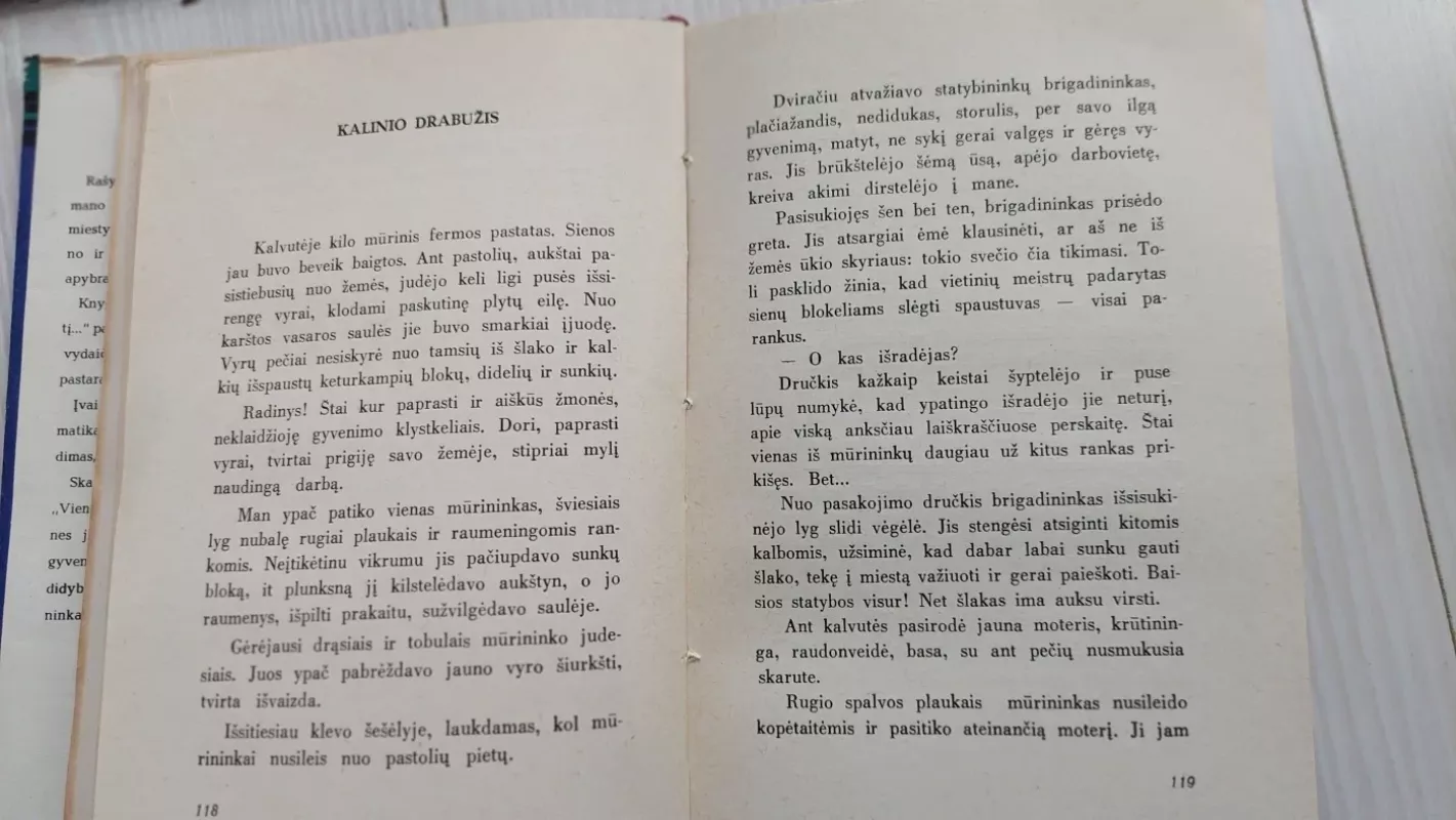 Vieną vasaros naktį - Jonas Dovydaitis, knyga 4