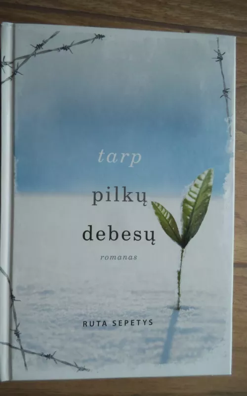 Tarp pilkų debesų - Šepetys Ruta, knyga 2