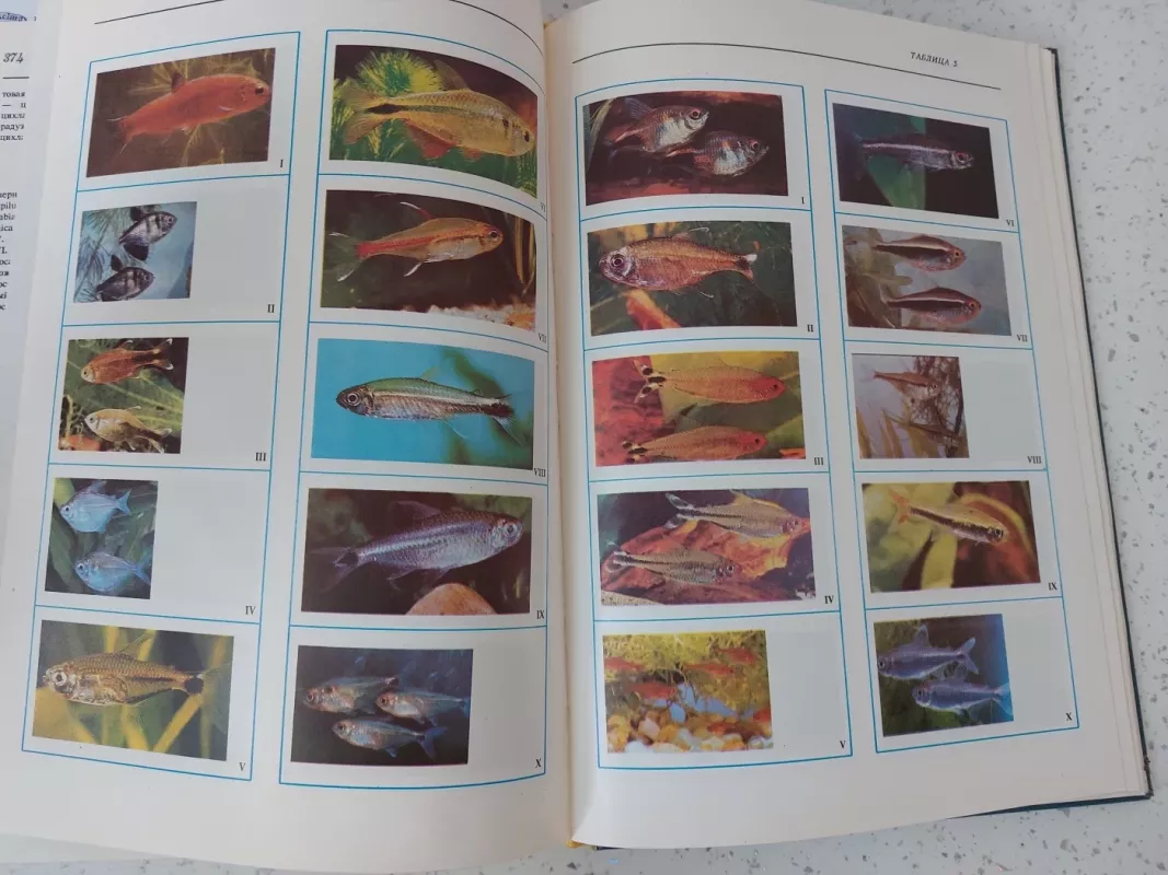 Экзотические аквариумные рыбы. Иллюстрированная энциклопедия - О. Е. Рыбаков, knyga 3