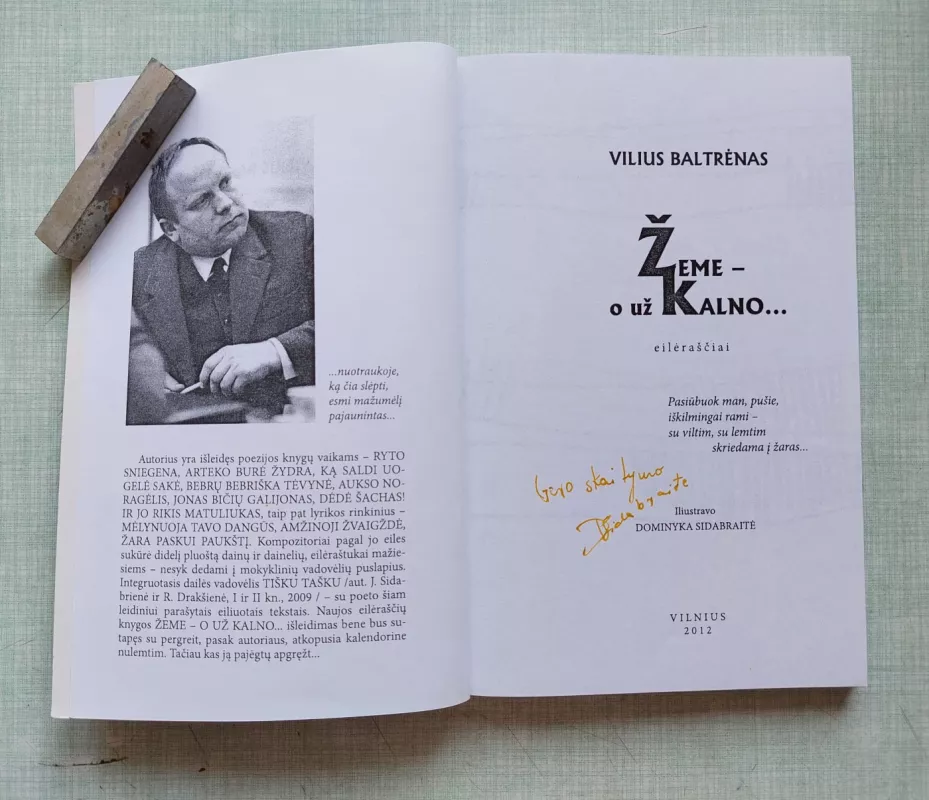 Žeme - o už kalno - Vilius Baltrėnas, knyga 5