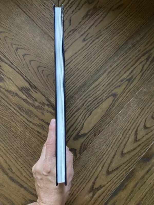 Akivarų tiltas - Martynas Vainilaitis, knyga 3