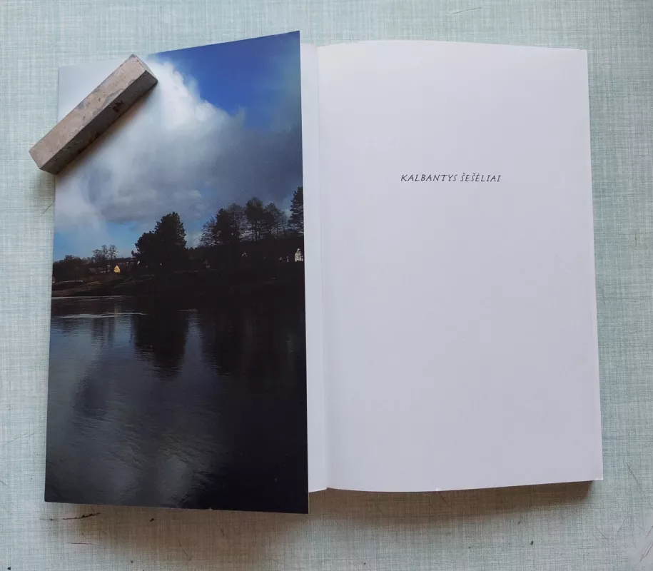 Kalbantys šešėliai - Alvydas Augustinas Jegelevičius, knyga 5