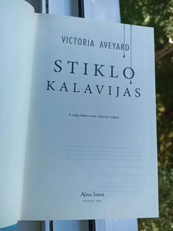 Stiklo kalavijas: antra „Raudonosios karalienės“ knyga - Victoria Aveyard, knyga 5