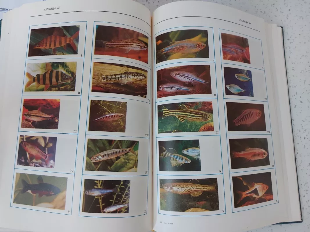 Экзотические аквариумные рыбы. Иллюстрированная энциклопедия - О. Е. Рыбаков, knyga 4
