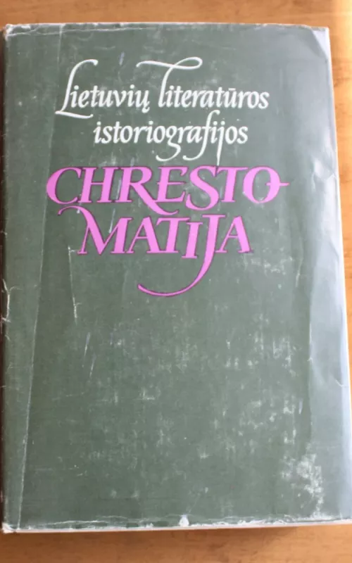 Lietuvių literatūros istoriografijos chrestomatija - Leonas Gineitis, knyga