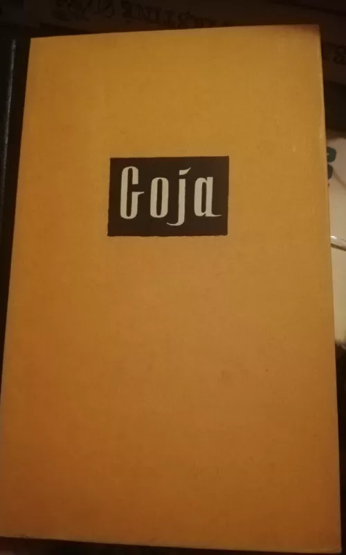 Goja - L. Foichtvangeris, knyga 2