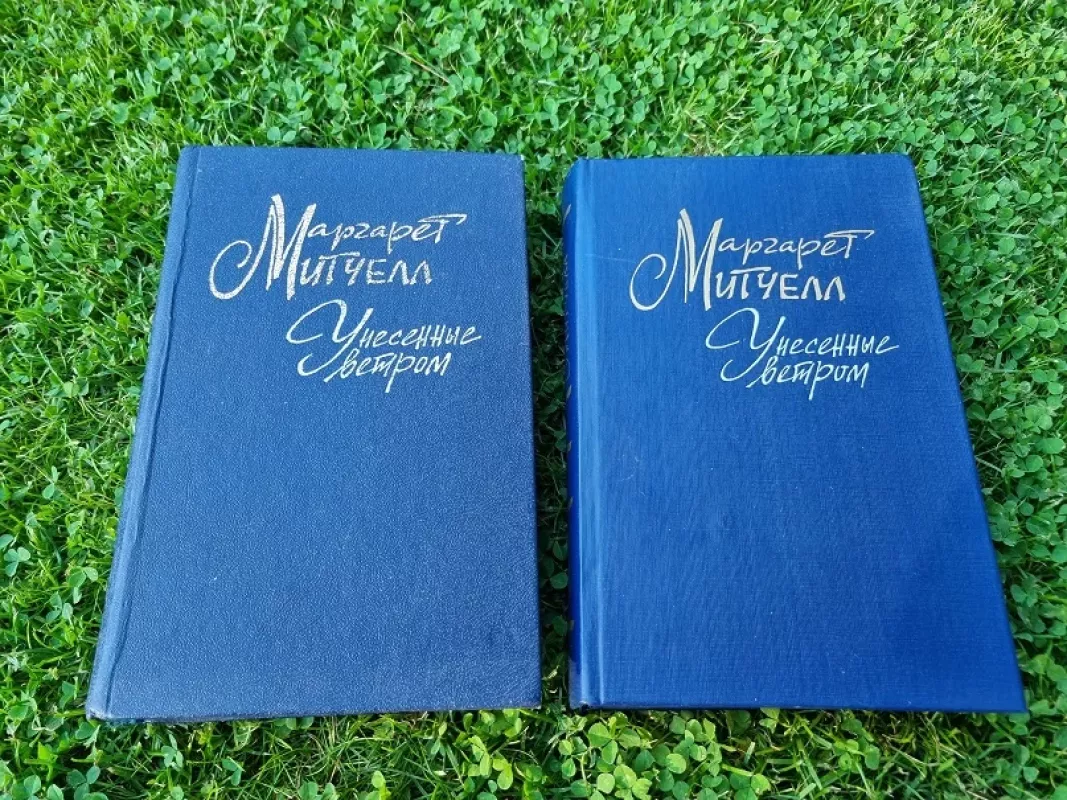Унесенные ветром (2 тома) - Маргарет Митчелл, knyga 3