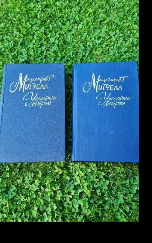 Унесенные ветром (2 тома) - Маргарет Митчелл, knyga 2