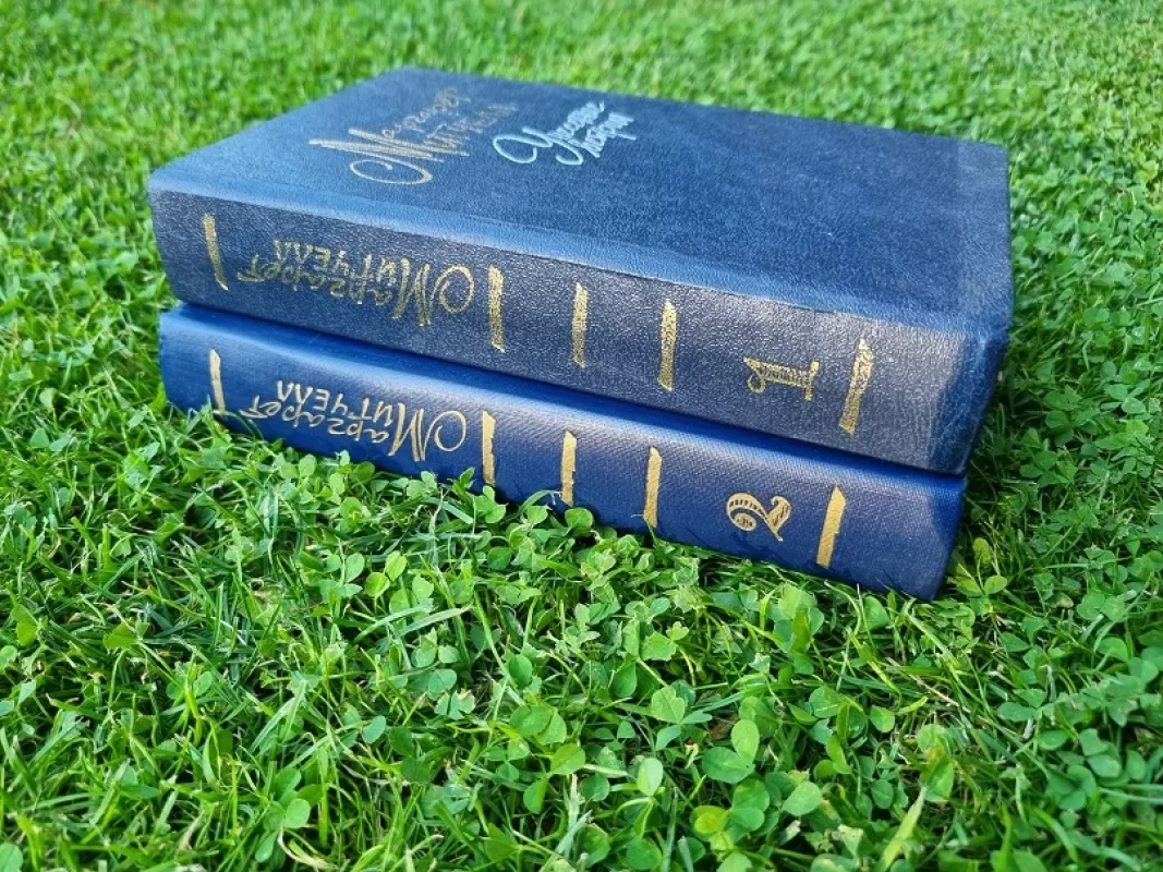 Унесенные ветром (2 тома) - Маргарет Митчелл, knyga 4