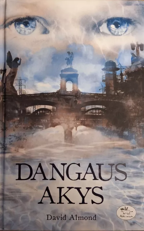 Dangaus akys - David Almond, knyga