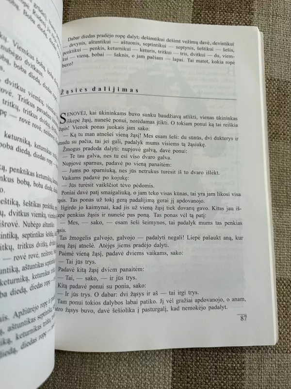 Kas vakarą po pasaką - Vitalija Gražienė, knyga 4