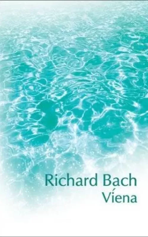 Viena - Richard Bach, knyga