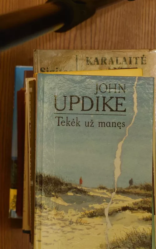 Tekėk už manęs - John Updike, knyga 2