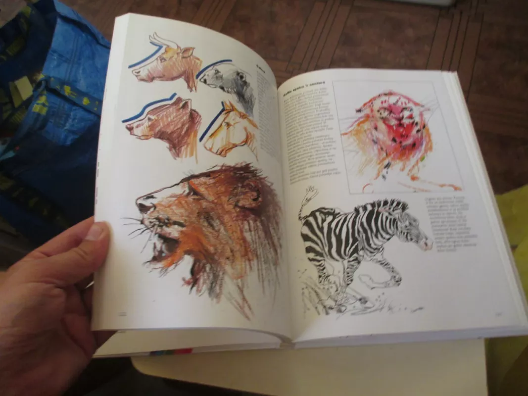 Didžioji Ravensburgerio piešimo knyga - Brian Bagnall, knyga 5