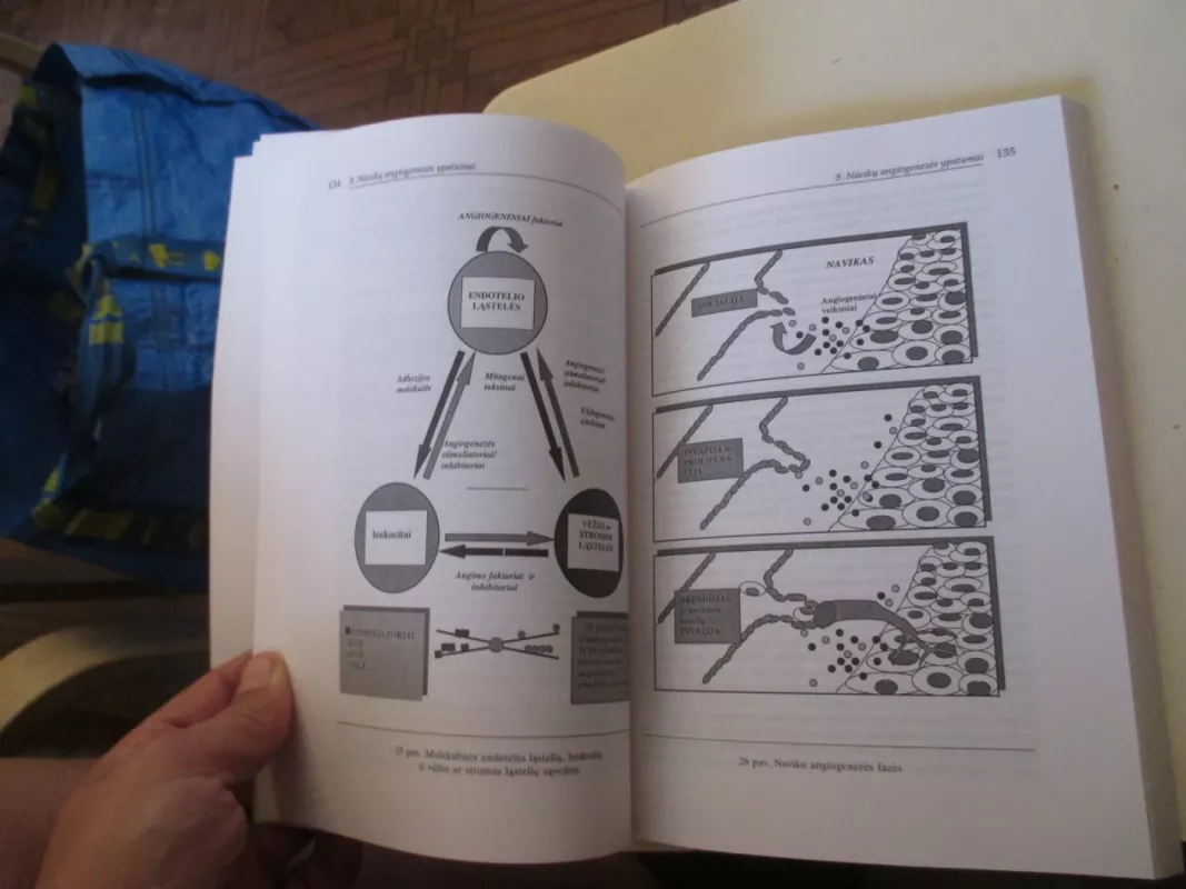 kancerogenezė ir vėžio biologija - Laima Griciūtė, knyga 5