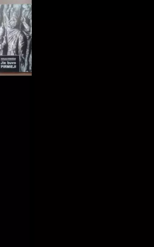 Jie buvo pirmieji(1940- 1941) - Povilas Vitkevičius, knyga 2