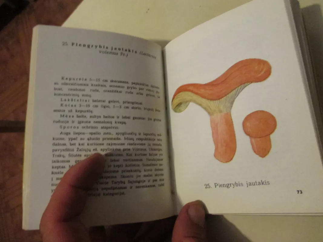 Grybai - J. Mazelaitis, A.  Gricius, knyga 4