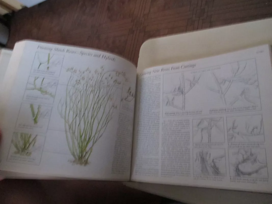 Illustrated guide to gardening - Autorių Kolektyvas, knyga 6
