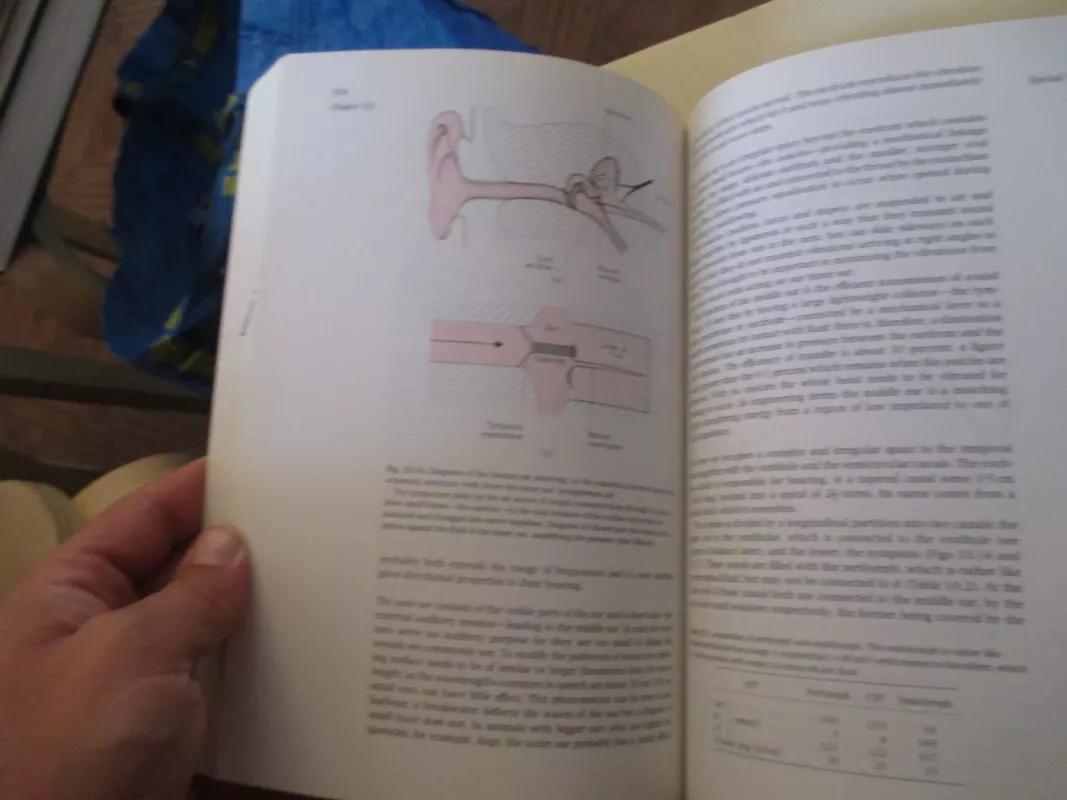 Essentials of physiology - J.F. Lamb, knyga 6