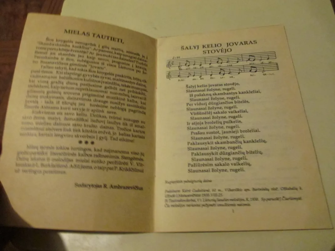 Skamba skamba kankliai - Rytis Ambrazevičius, knyga 3