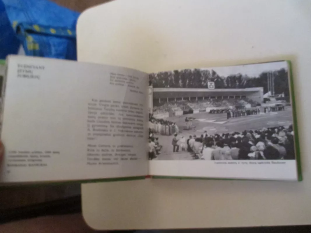 Dainų šventė - Vaidotas Karlonas, knyga 6