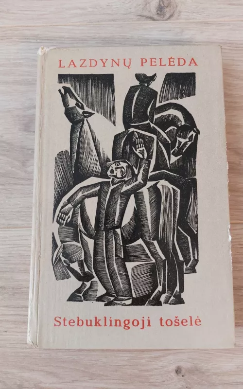 Stebuklingoji Tošelė - Pelėda Lazdynų, knyga 2