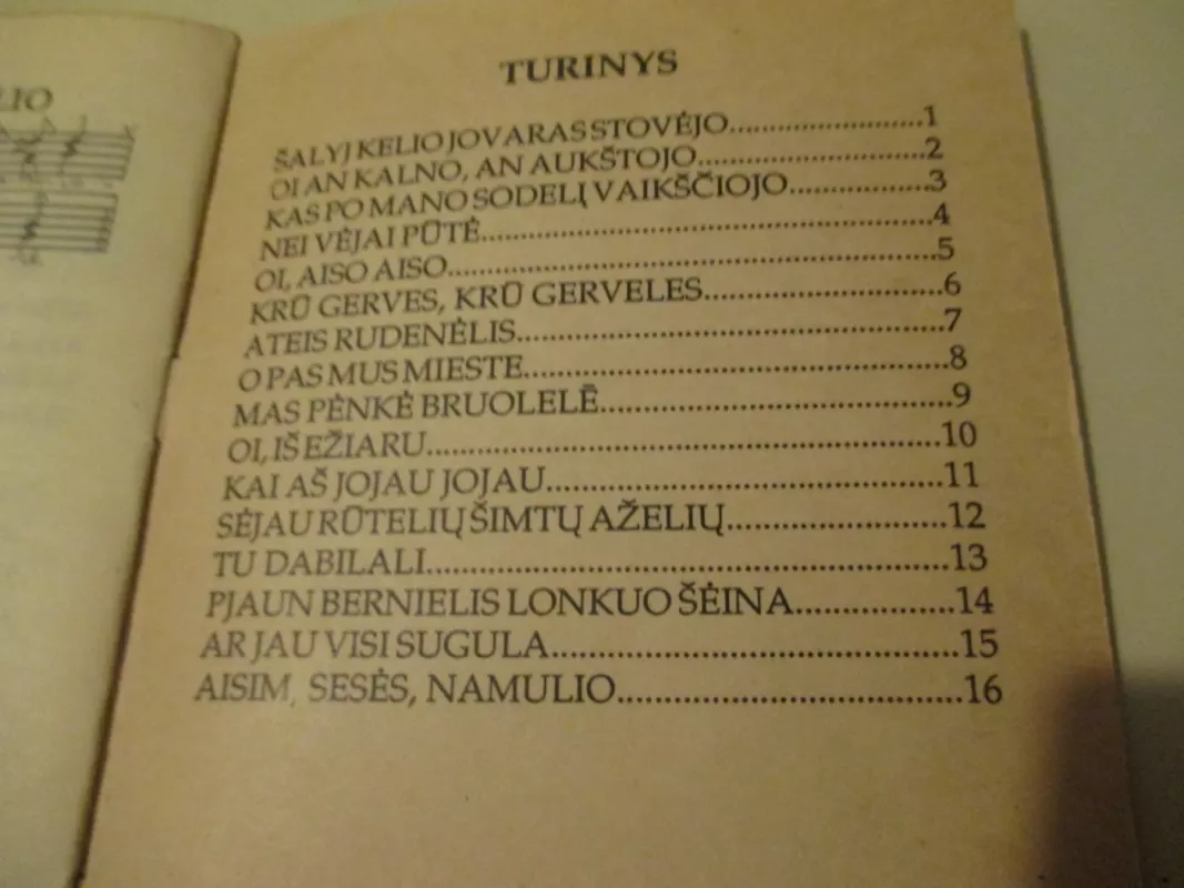 Skamba skamba kankliai - Rytis Ambrazevičius, knyga 4