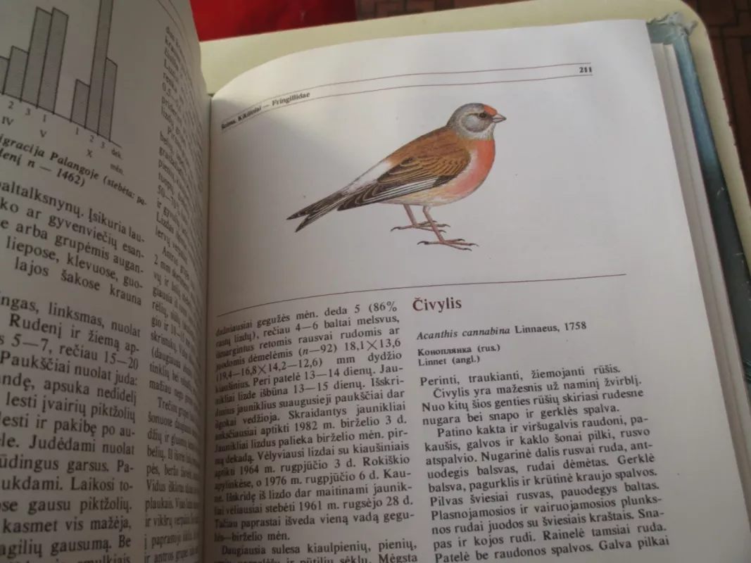 Lietuvos fauna. Paukščiai (2 dalis) - Autorių Kolektyvas, knyga 6