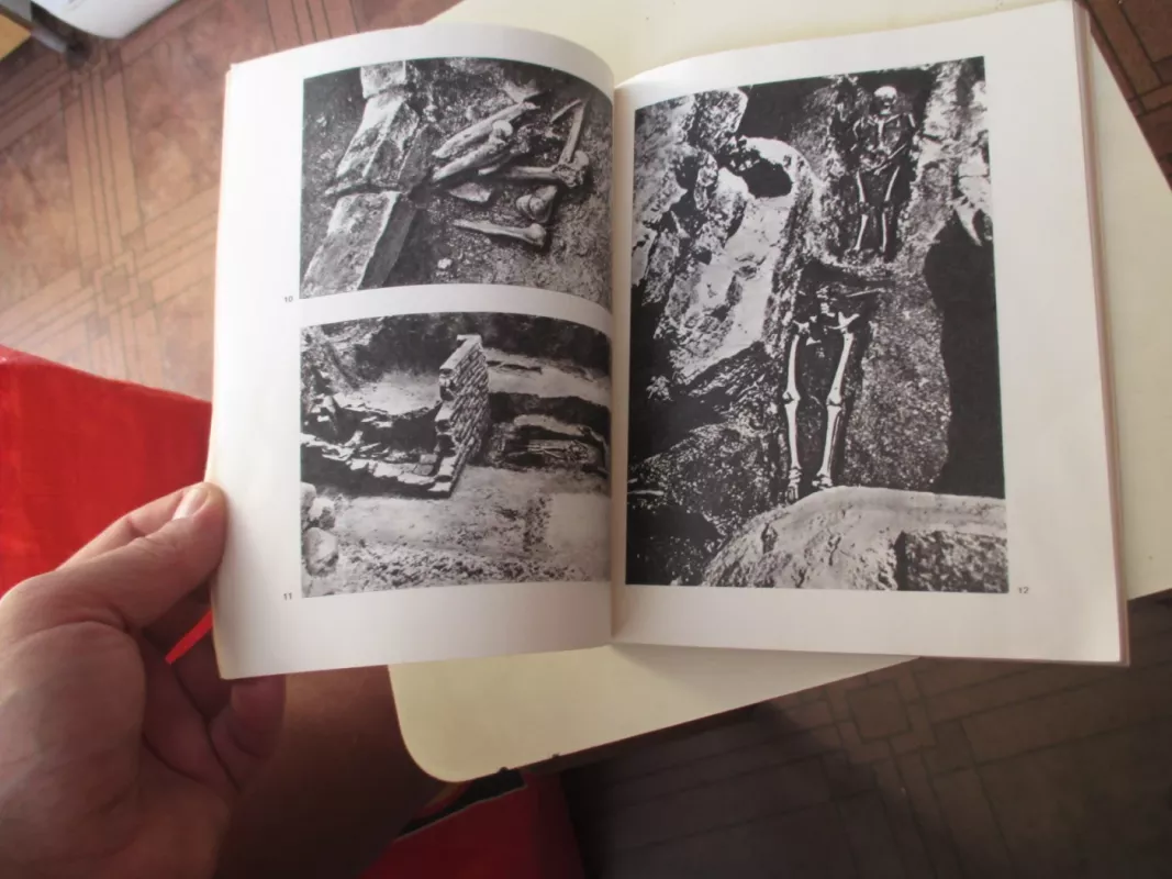 Kristijono Donelaičio palaikų tyrinėjimo medžiaga - Autorių Kolektyvas, knyga 6