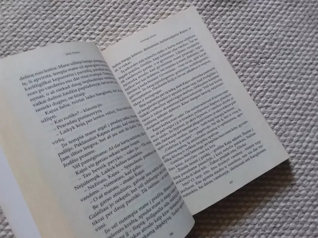 Atostogų flirtas - Jane Porter, knyga 4