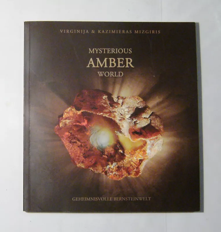 Mysterious Amber world - Kazimieras Mizgiris, knyga 3