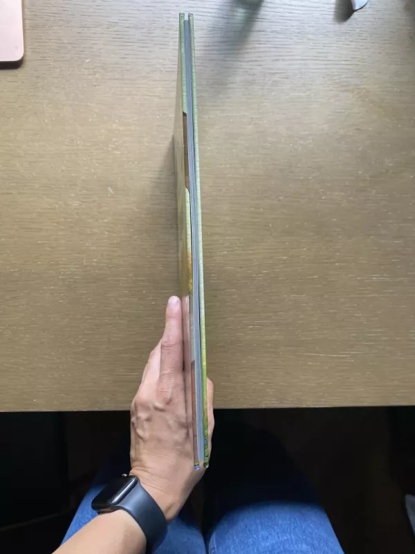 Buliaus kalnas - Dainius Šukys, knyga 3