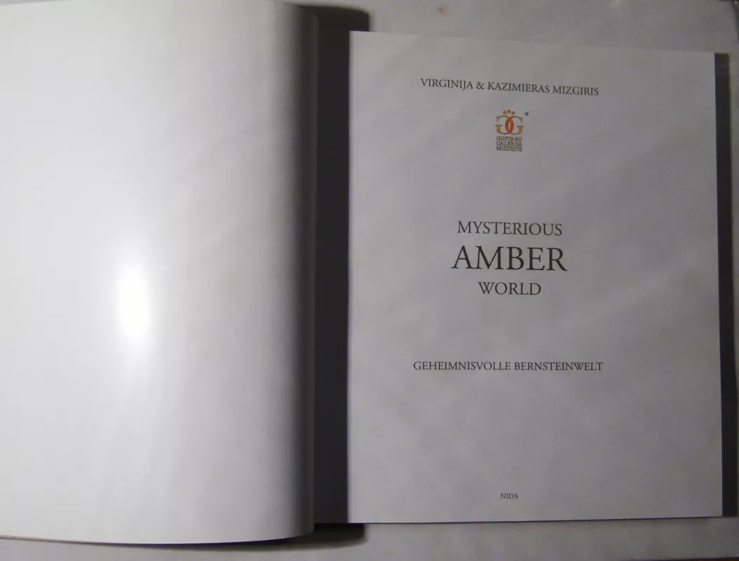 Mysterious Amber world - Kazimieras Mizgiris, knyga 4