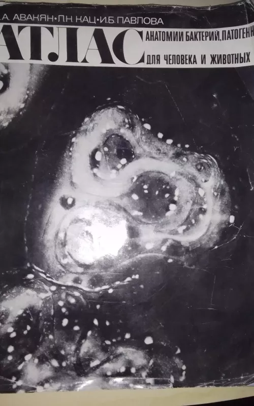 Атлас анатомии бактерий, патогенных для человека и животных - А.А. Авакян, knyga 2