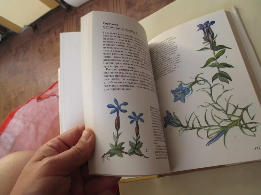 Альпинарий - В. Водичкова, knyga 5