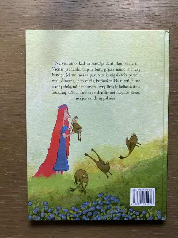 Buliaus kalnas - Dainius Šukys, knyga 4