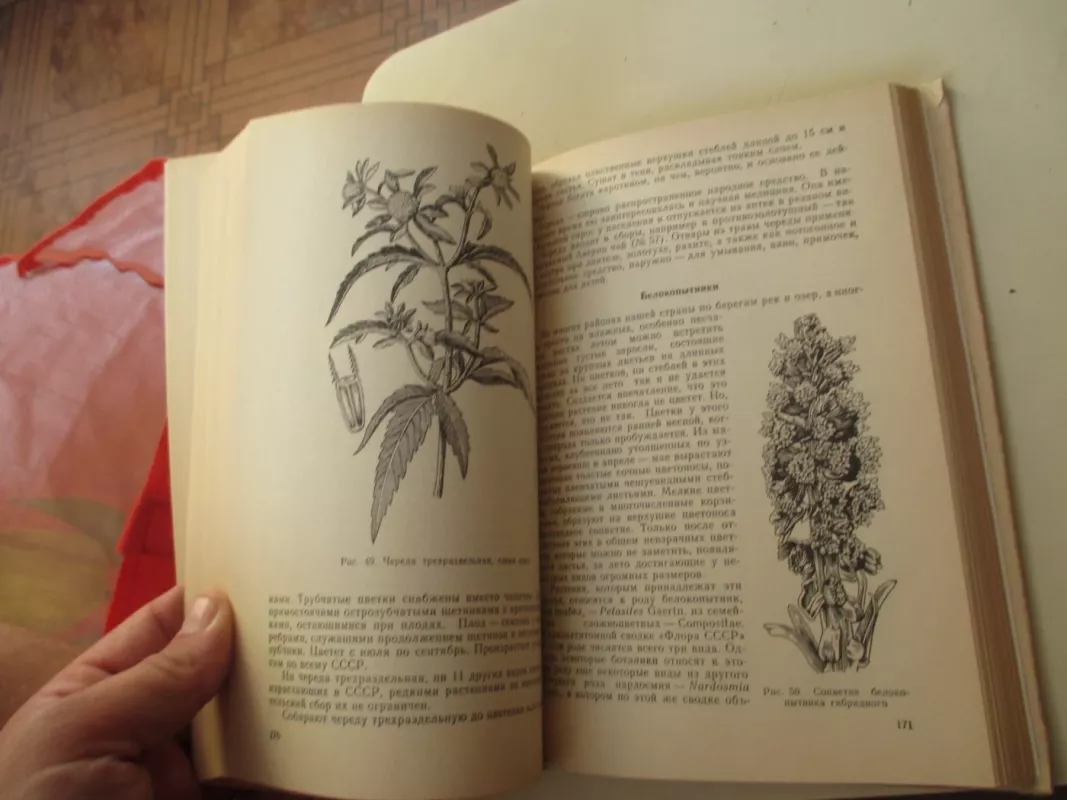 Лекарственные растения - А.Ф. Гаммерман, knyga 5