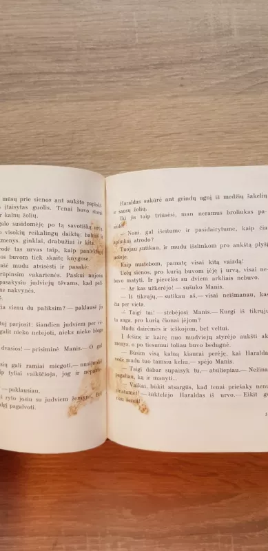 Nonis - Jonas Svensonas, knyga 4