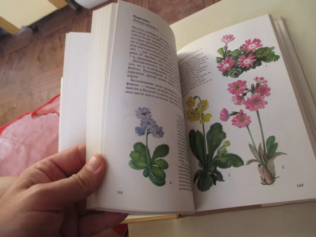 Альпинарий - В. Водичкова, knyga 4