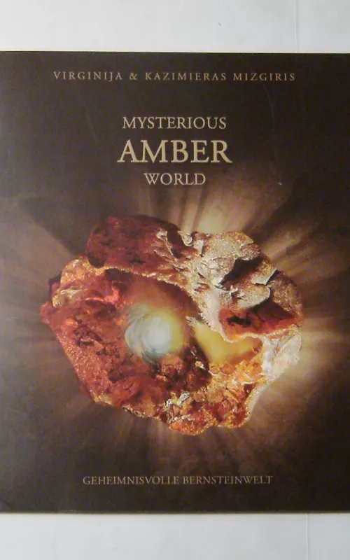 Mysterious Amber world - Kazimieras Mizgiris, knyga