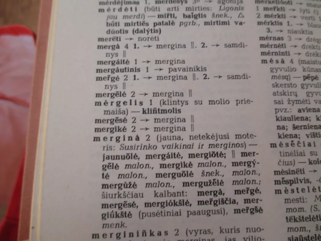 Sinonimų žodynas - Antanas Lyberis, knyga 5
