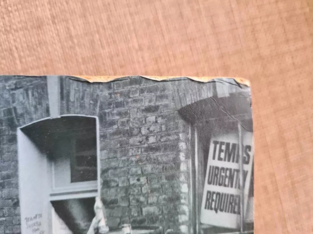 The Good Terrorist - Doris Lessing, knyga 5